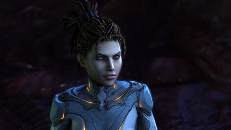 Starcraft 2: Heart of the Swarm Key Blizzard EUROPE - 20