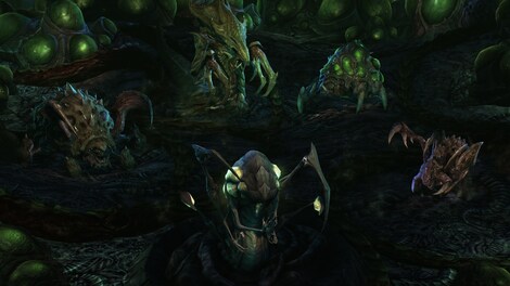 Starcraft 2: Heart of the Swarm Key Blizzard EUROPE - 12