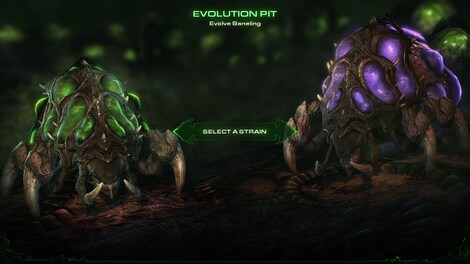 Starcraft 2: Heart of the Swarm Key Blizzard EUROPE - 3