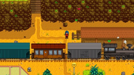 Stardew Valley + Max Gold + Max Skill (PC) - Steam Account - GLOBAL - 4