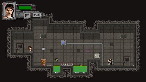 Stone Flower Steam Key GLOBAL - 5