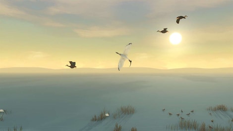 Storm Boy (PC) - Steam Key - GLOBAL - 5