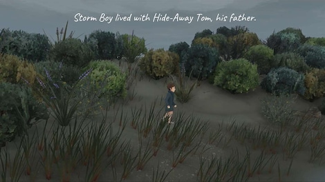 Storm Boy (PC) - Steam Key - GLOBAL - 3