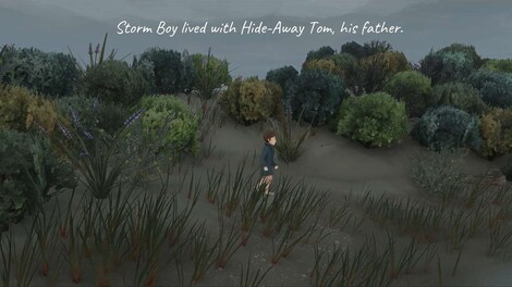Storm Boy Xbox Live Key Xbox One EUROPE - 3