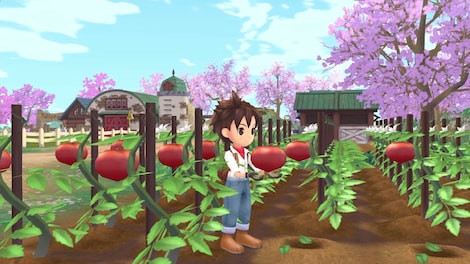 STORY OF SEASONS: A Wonderful Life (PC) - Steam Key - EUROPE - 9