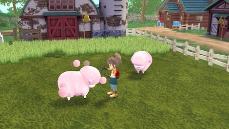 STORY OF SEASONS: A Wonderful Life (PC) - Steam Key - EUROPE - 7