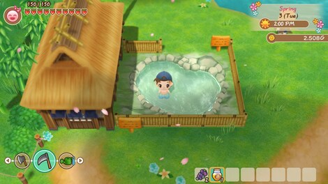 STORY OF SEASONS: Friends of Mineral Town (PC) - Steam Account - ASIA - 12