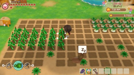 STORY OF SEASONS: Friends of Mineral Town (PC) - Steam Account - ASIA - 5