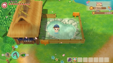 STORY OF SEASONS: Friends of Mineral Town (PC) - Steam Gift - EUROPE - 12
