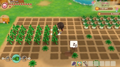STORY OF SEASONS: Friends of Mineral Town (Xbox One) - Xbox Live Account - GLOBAL - 5