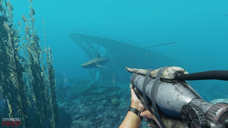 Stranded Deep (PC) - Steam Gift - GLOBAL - 5