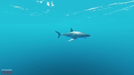 Stranded Deep (PC) - Steam Gift - UNITED KINGDOM - 6