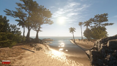 Stranded Deep Steam Key LATAM - 15