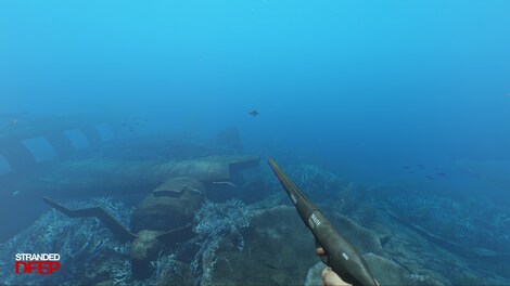 Stranded Deep Steam Key LATAM - 9