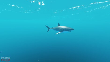 Stranded Deep Steam Key LATAM - 6