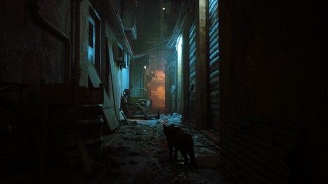 Stray (Xbox Series X/S, Windows 10) - Xbox Live Key - BRAZIL - 12