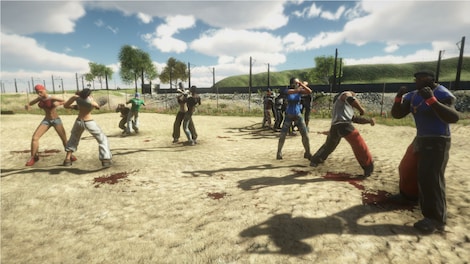 Street Warriors Online: Premium Pack Steam Key GLOBAL - 3