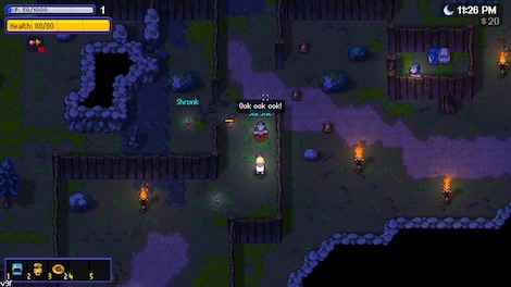 Streets of Rogue 2 (PC) - Steam Gift - GLOBAL - 9