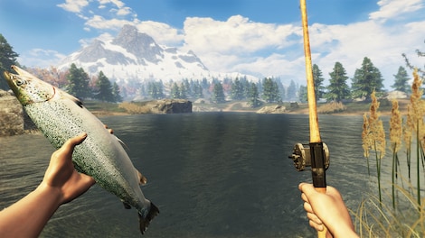Subsistence Steam Gift EUROPE - 4