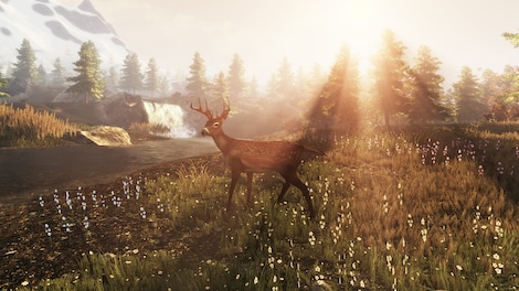 Subsistence Steam Gift EUROPE - 5