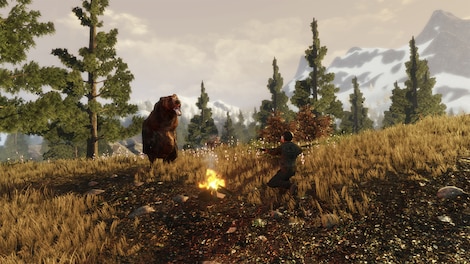 Subsistence Steam Gift EUROPE - 8
