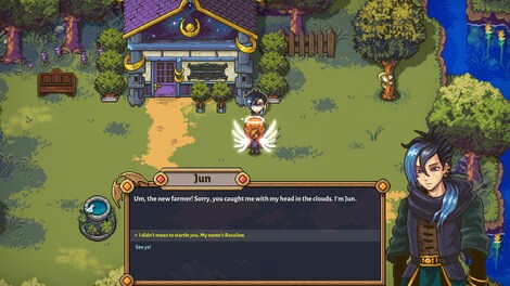 Sun Haven (PC) - Steam Gift - NORTH AMERICA - 12