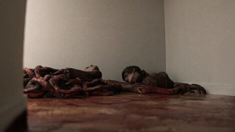 Supernatural (PC) - Steam Gift - NORTH AMERICA - 4