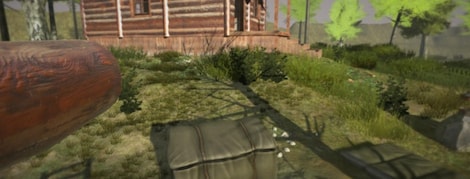 Surviving in the forest Steam PC Key GLOBAL - 3