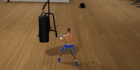 Tactic Boxing (PC) - Steam Key - GLOBAL - 6