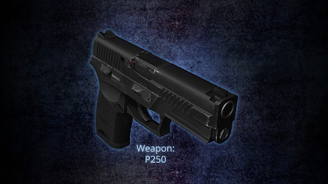 Tactical Intervention - Counter-Terrorist Starter Pack Steam Key GLOBAL - 2