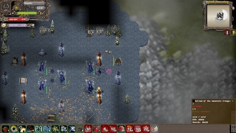 Tales of Maj'Eyal - Embers of Rage Steam Gift GLOBAL - 8
