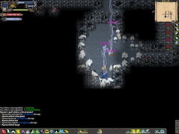 Tales of Maj'Eyal Steam Gift GLOBAL - 11