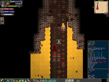 Tales of Maj'Eyal Steam Gift GLOBAL - 9