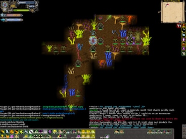 Tales of Maj'Eyal Steam Gift GLOBAL - 7