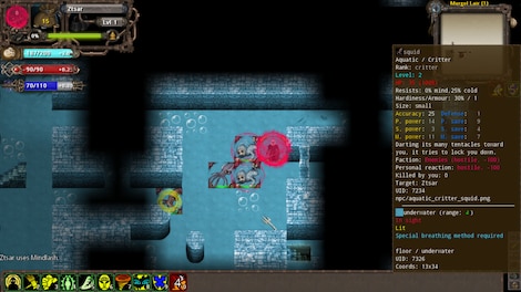 Tales of Maj'Eyal Steam Key GLOBAL - 24