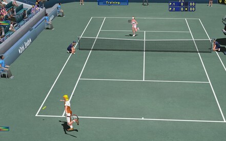 Tennis Elbow 2013 Steam Gift GLOBAL - 10
