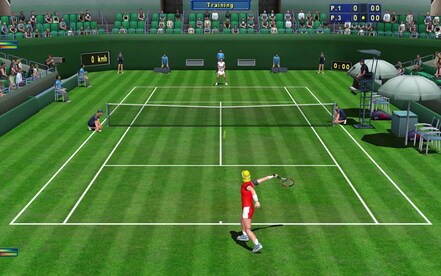 Tennis Elbow 2013 Steam Gift GLOBAL - 7