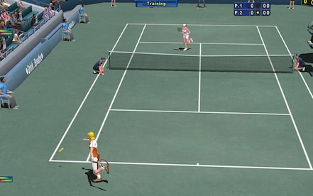 Tennis Elbow 2013 Steam Key GLOBAL - 10