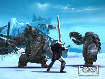 Tera Online Standard Gameforge Key EUROPE - 5