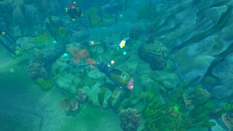 Terrarium Land Steam Gift GLOBAL - 6