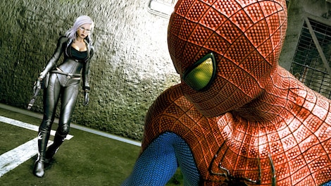 The Amazing Spider-Man Steam Key RU/CIS - 20