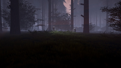 The Bigfoot Finders Steam Key GLOBAL - 6
