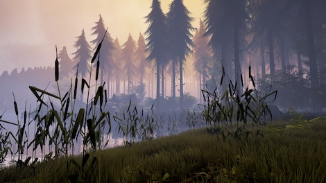 The Bigfoot Finders Steam Key GLOBAL - 7