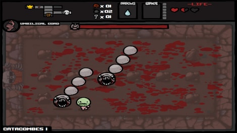 The Binding of Isaac: Wrath of the Lamb Steam Key GLOBAL - 4