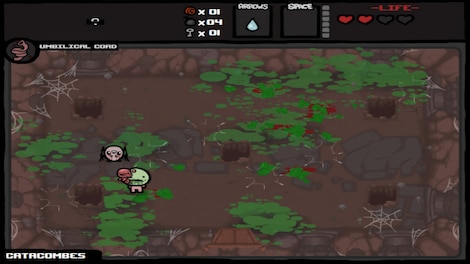 The Binding of Isaac: Wrath of the Lamb Steam Key GLOBAL - 5