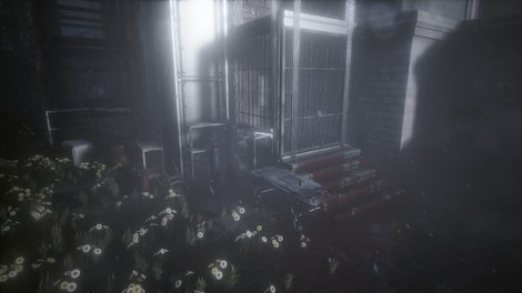 The Butterfly Sign Steam Key GLOBAL - 3
