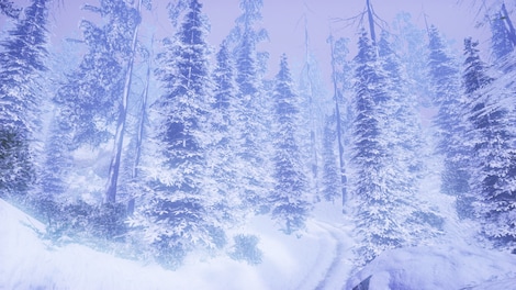The Cabin: VR Escape the Room Steam Key GLOBAL - 7