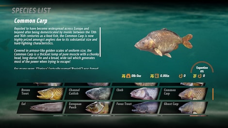 The Catch: Carp & Coarse | Deluxe Edition (Xbox One) - Xbox Live Key - EUROPE - 5