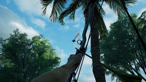 The Culling Steam Key CIS - 2
