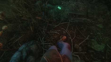 The Cursed Forest (PC) - Steam Account - GLOBAL - 12